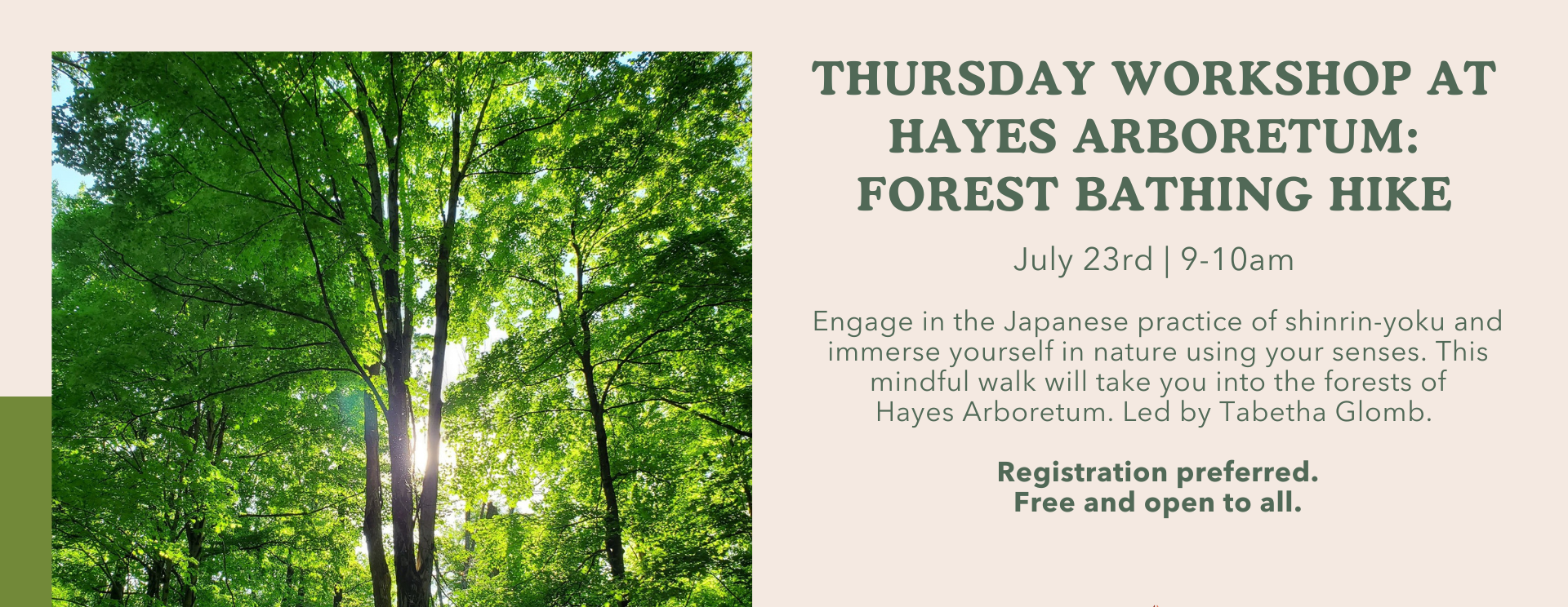 Thursday Workshop: Forest Bathing Hike